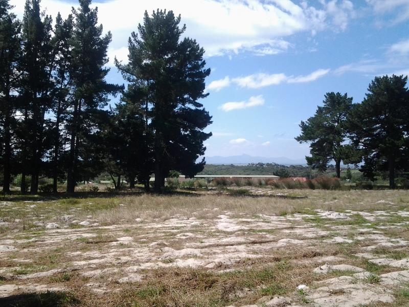 0 Bedroom Property for Sale in Albertinia Western Cape